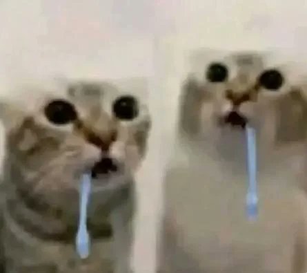 Drooling cat meme 4